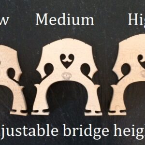 Self-Adjusting Bridge - Aubert